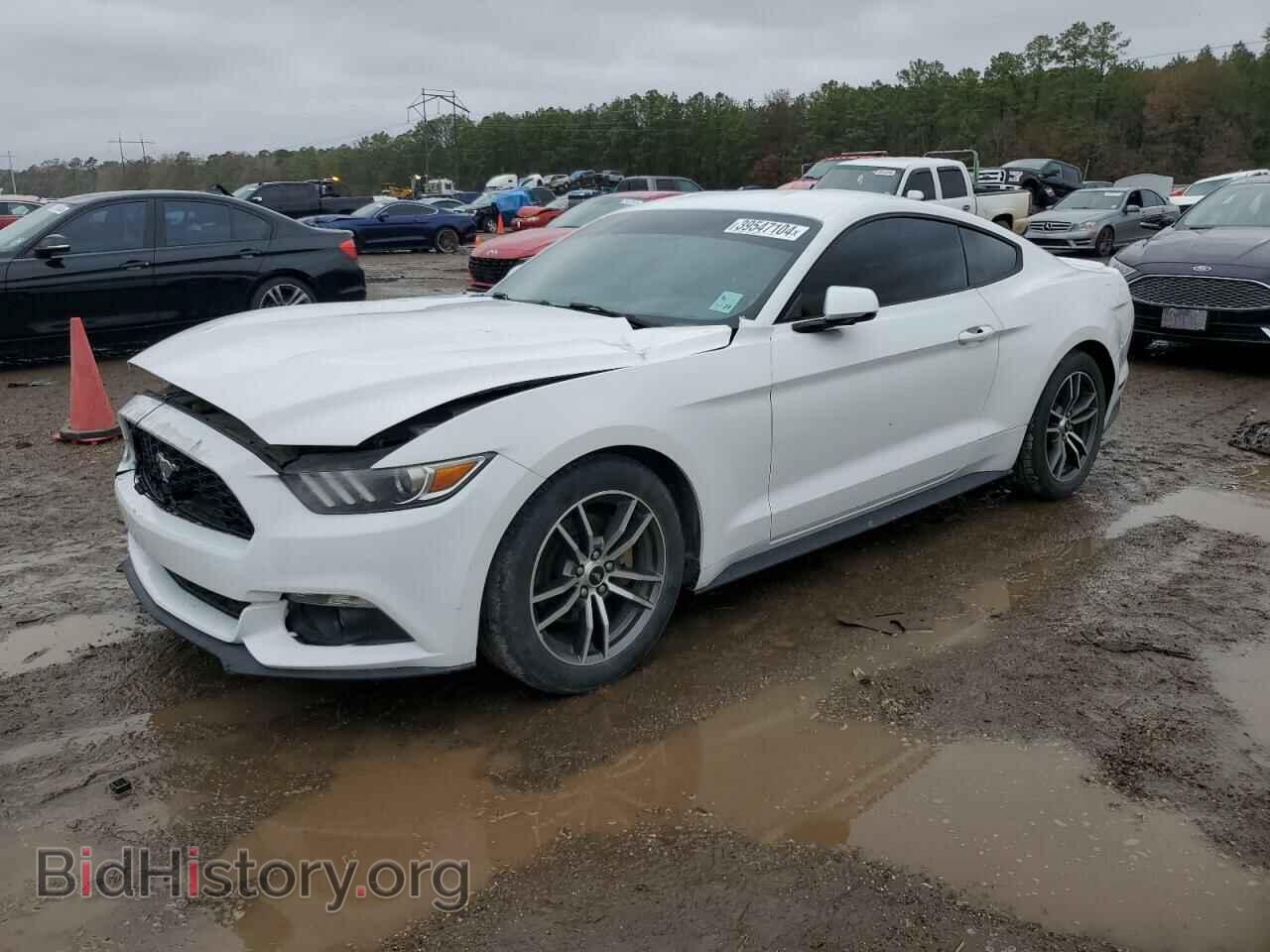 Фотография 1FA6P8TH7H5281787 - FORD ALL Models 2017