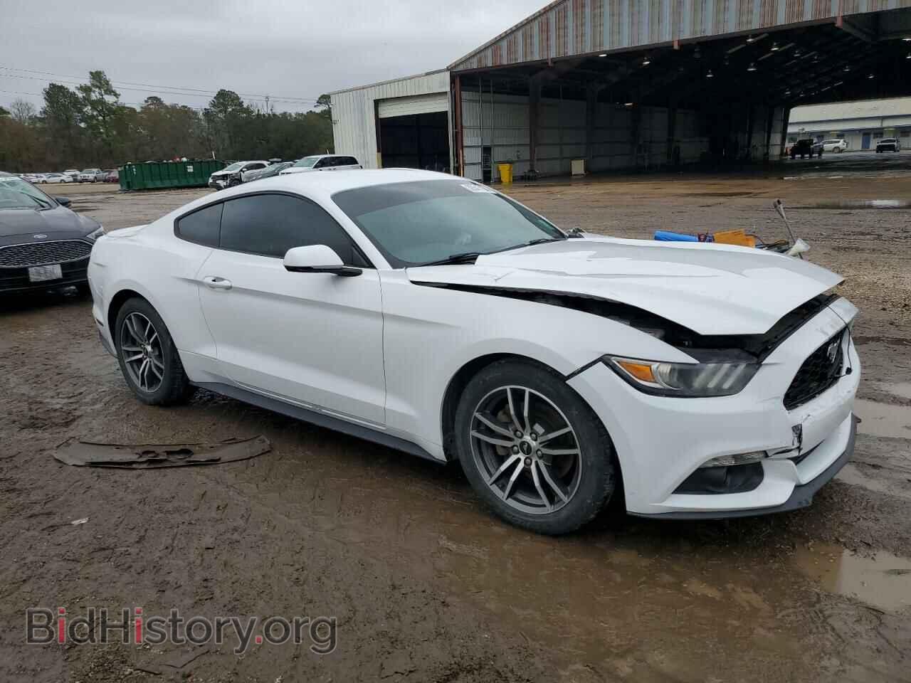 2017 FORD ALL Models - VIN: 1FA6P8TH7H5281787 - Photo 4
