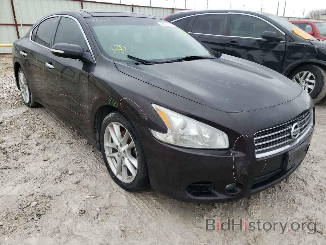 Photo 1N4AA5APXAC850167 - NISSAN MAXIMA 2010