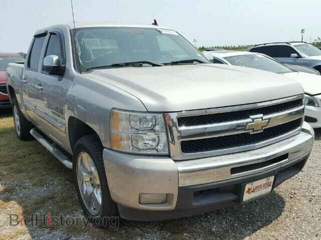 Photo 3GCEC23049G250175 - CHEVROLET SILVERADO 2009