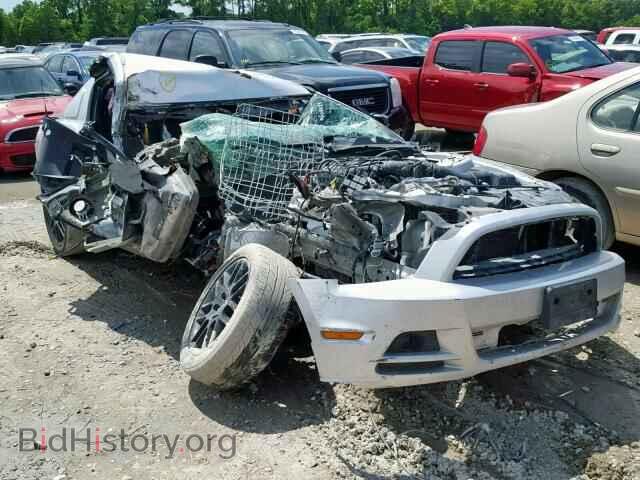 Фотография 1ZVBP8AM1E5284430 - FORD MUSTANG 2014