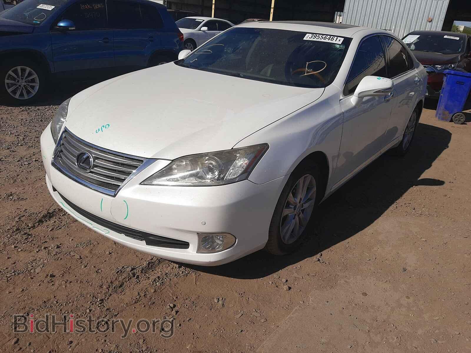 2011 LEXUS ES350 - VIN: JTHBK1EG7B2438843 - Фото 2