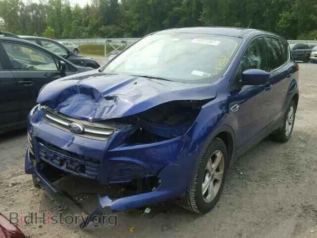 2014 FORD ESCAPE - VIN: 1FMCU0GX5EUD02464 - Photo 2