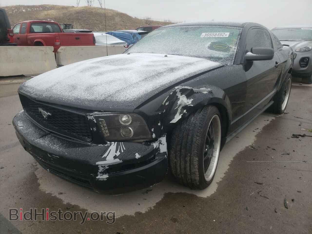 2009 FORD MUSTANG - VIN: 1ZVHT80N295142805 - Фото 2