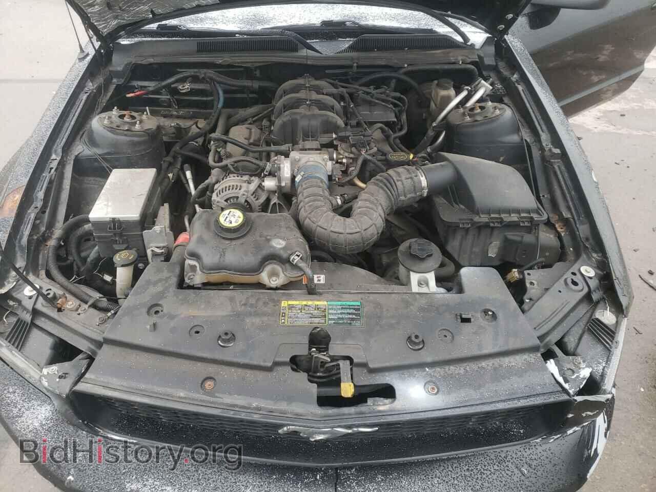 2009 FORD MUSTANG - VIN: 1ZVHT80N295142805 - Фото 7
