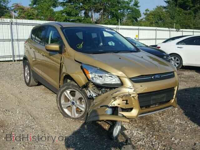 Фотография 1FMCU0GX3EUC15128 - FORD ESCAPE 2014