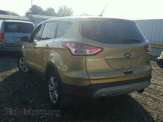 2014 FORD ESCAPE - VIN: 1FMCU0GX3EUC15128 - Фото 3