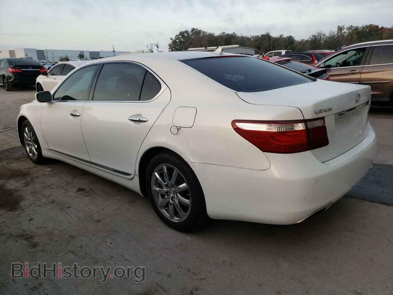 2007 LEXUS LS460 - VIN: JTHGL46F375003981 - Фото 2