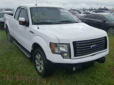 2010 Ford F150, белый — VIN 1FTEX1C83AKE42303, Copart