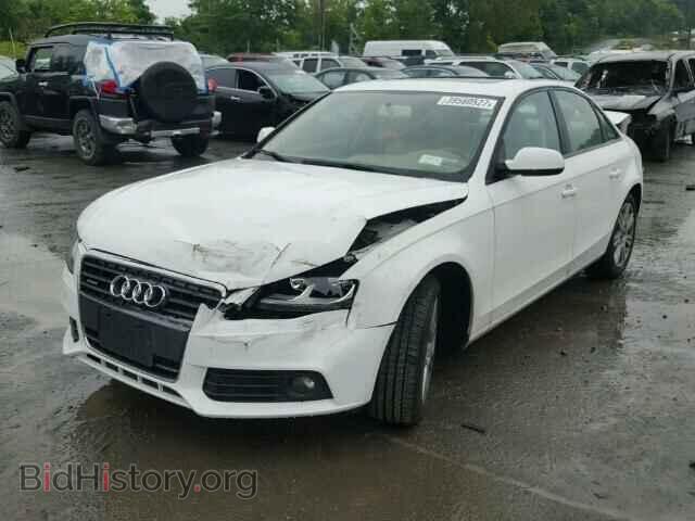 2010 AUDI A4 - VIN: WAUBFAFL5AN012063 - Фото 2