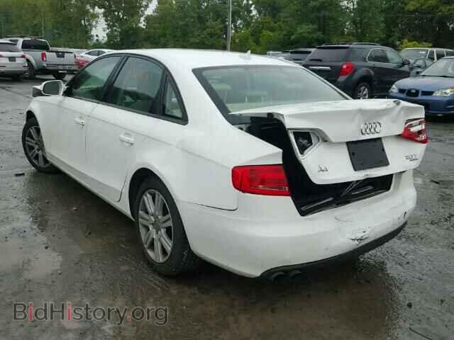 2010 AUDI A4 - VIN: WAUBFAFL5AN012063 - Фото 3