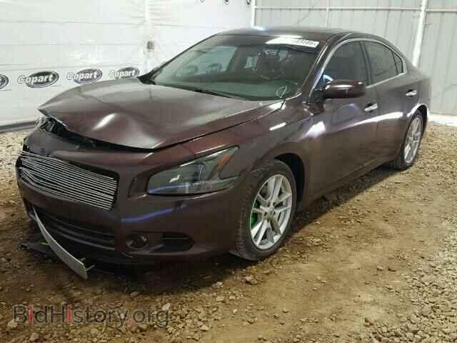 2009 NISSAN MAXIMA - VIN: 1N4AA51E09C837678 - Фото 2