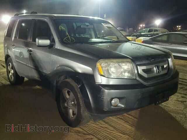 Фотография 5FNYF38529B005492 - HONDA PILOT 2009