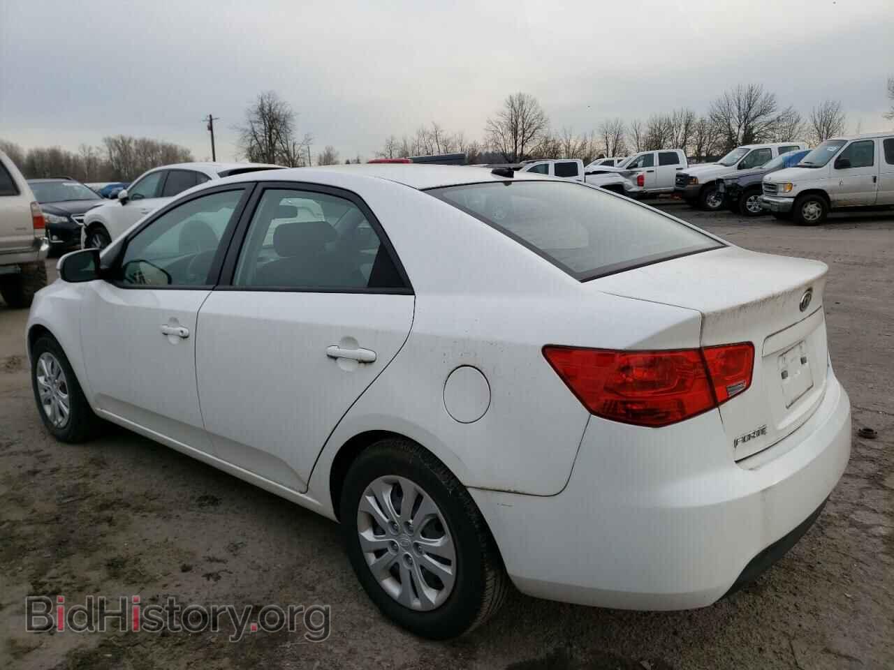 2013 KIA FORTE - VIN: KNAFU4A24D5735981 - Фото 2
