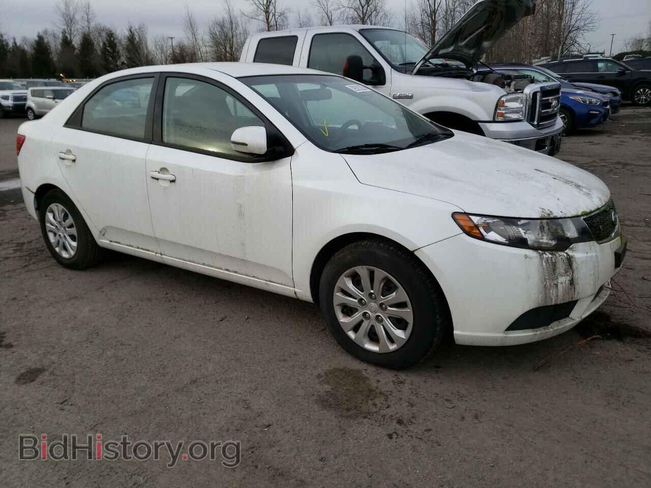 2013 KIA FORTE - VIN: KNAFU4A24D5735981 - Фото 4