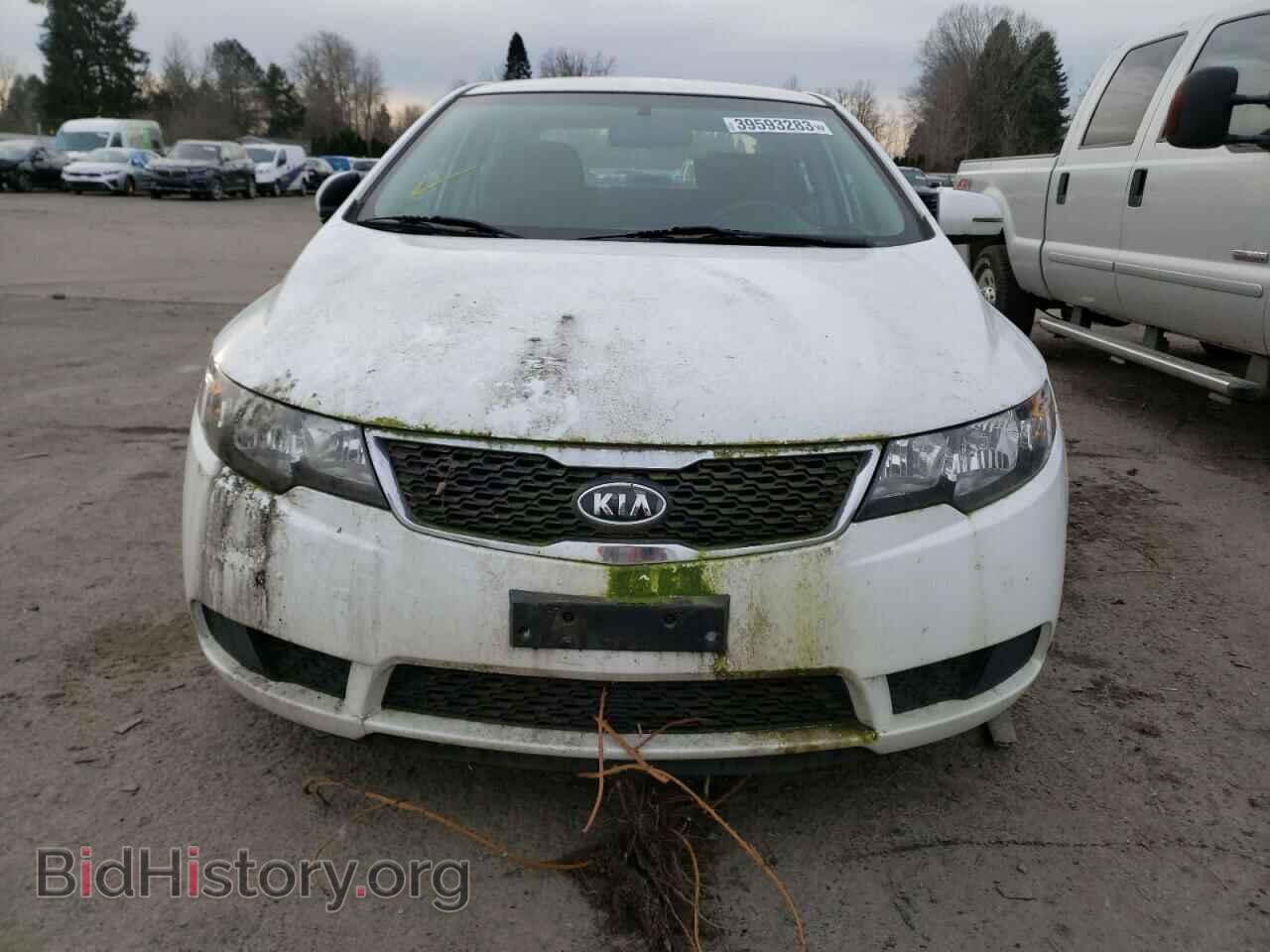 2013 KIA FORTE - VIN: KNAFU4A24D5735981 - Фото 5