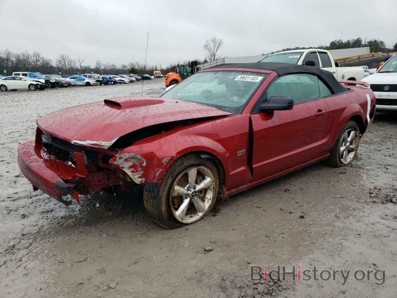 Photo 1ZVHT85H585118080 - FORD MUSTANG 2008
