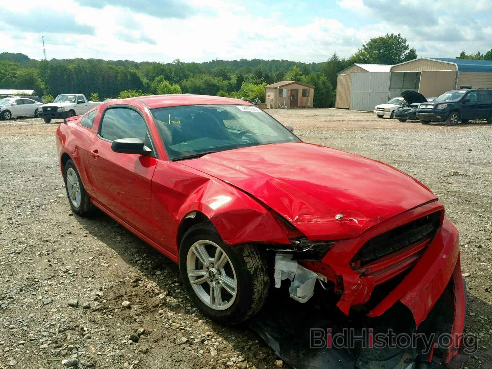 Photo 1ZVBP8AM5D5273638 - FORD MUSTANG 2013