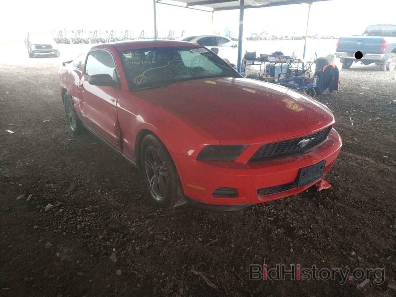 Photo 1ZVBP8AM1C5208316 - FORD MUSTANG 2012