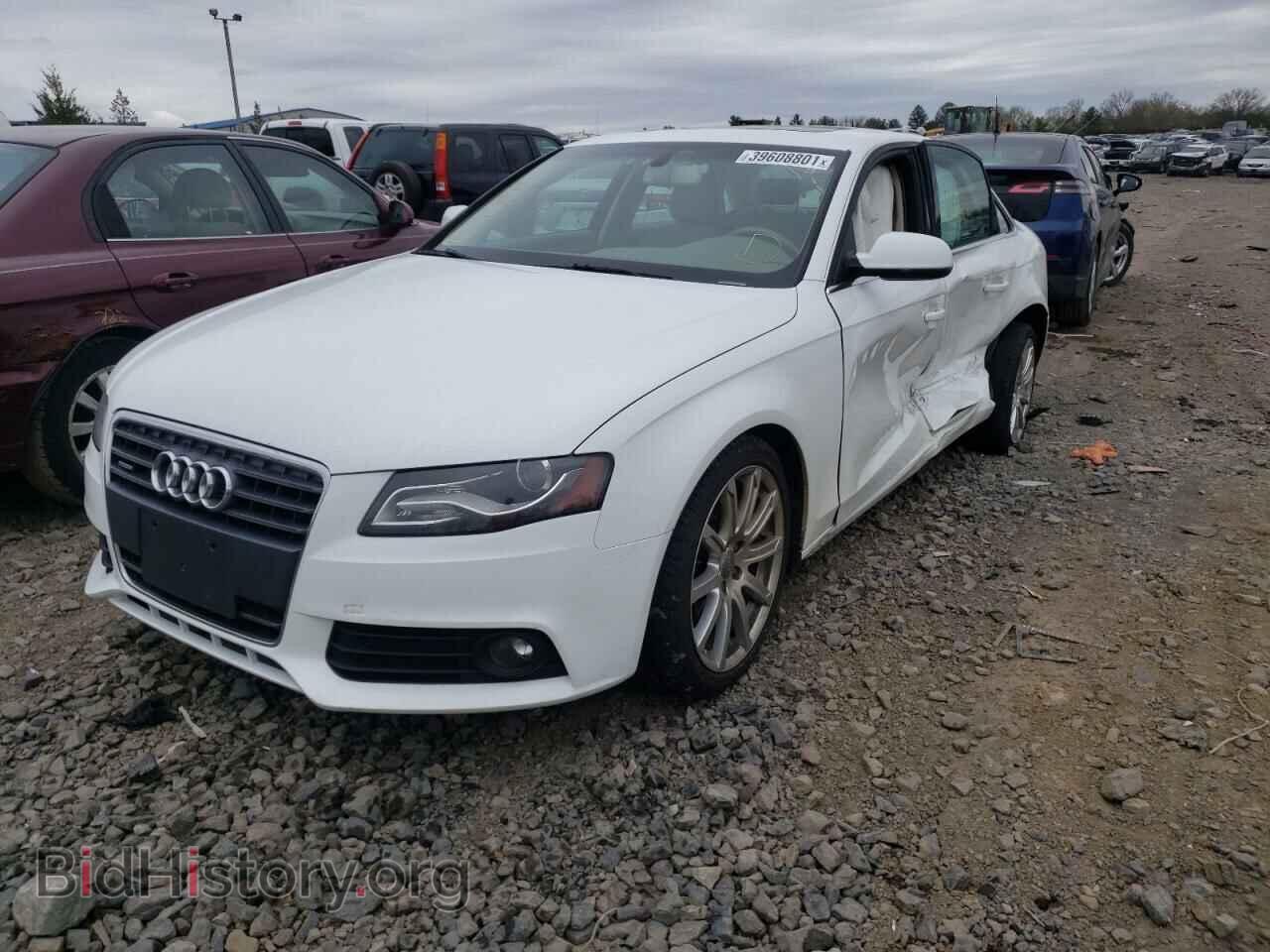 2010 AUDI A4 - VIN: WAUFFAFL1AN059642 - Фото 2