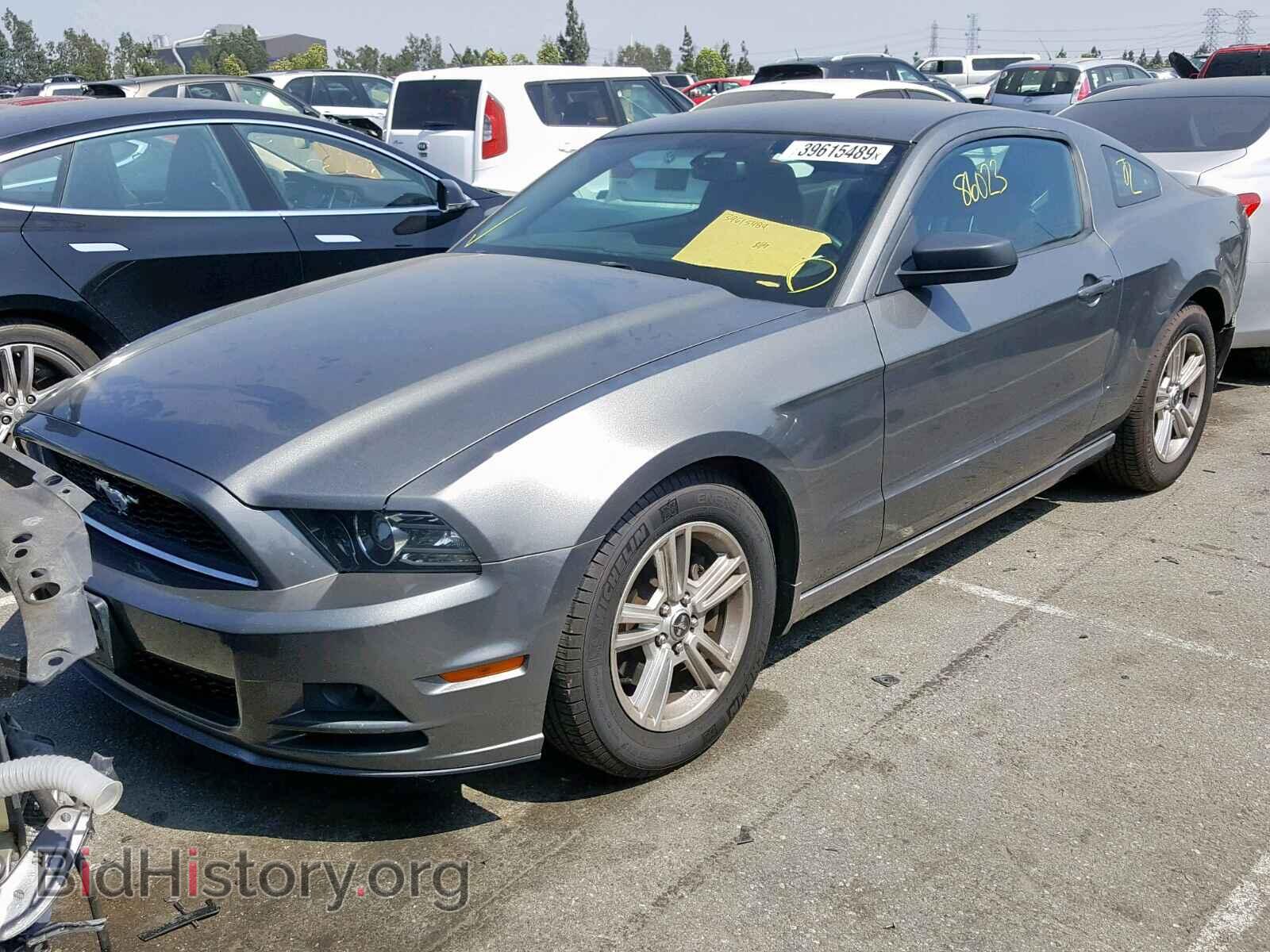 2013 FORD MUSTANG - VIN: 1ZVBP8AM6D5249901 - Фото 2