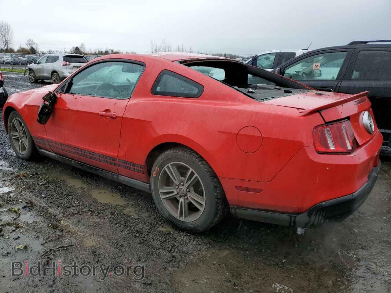 2010 FORD ALL Models - VIN: 1ZVBP8AN6A5127561 - Фото 2