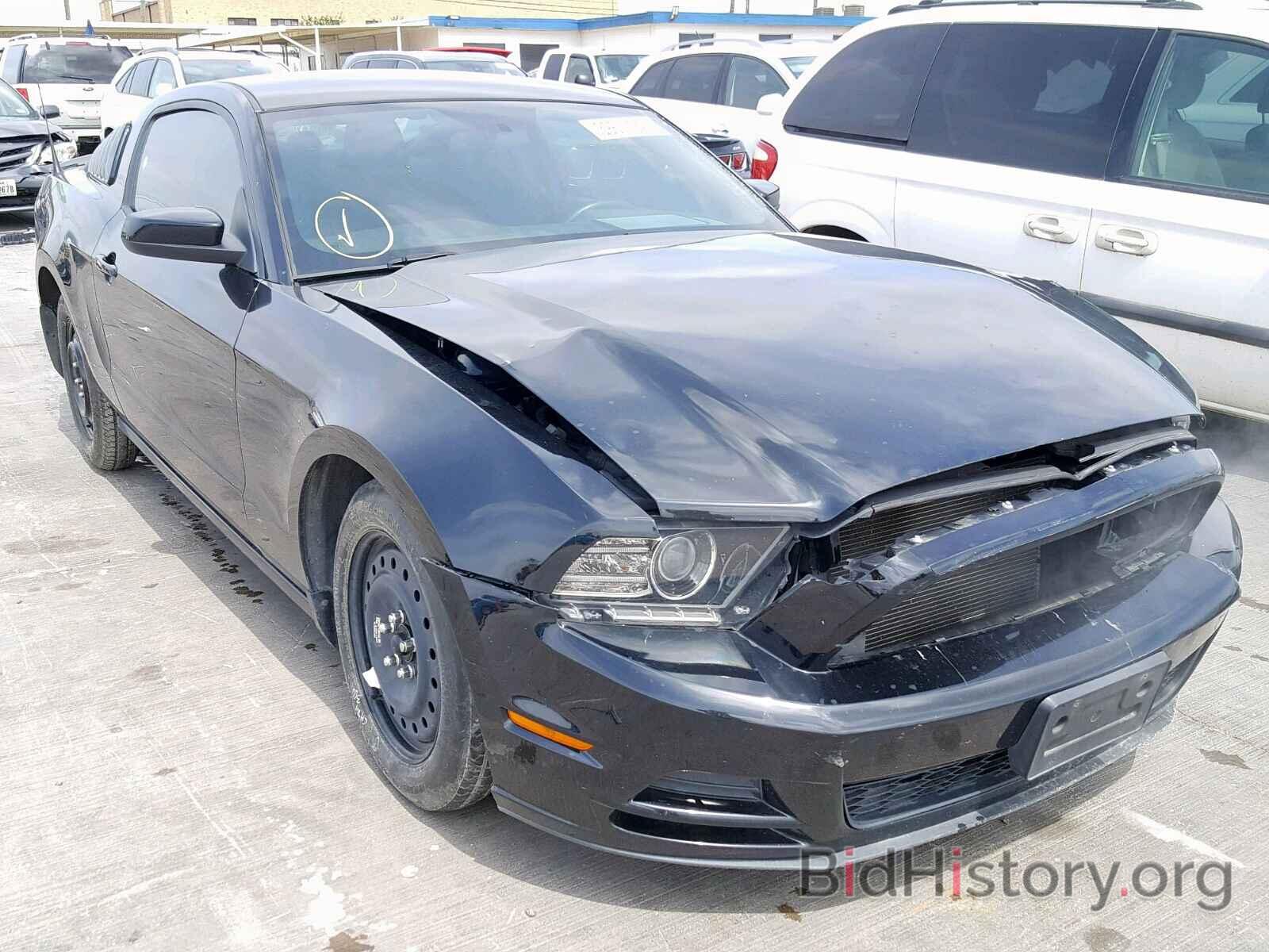 Photo 1ZVBP8AM3E5298765 - FORD MUSTANG 2014