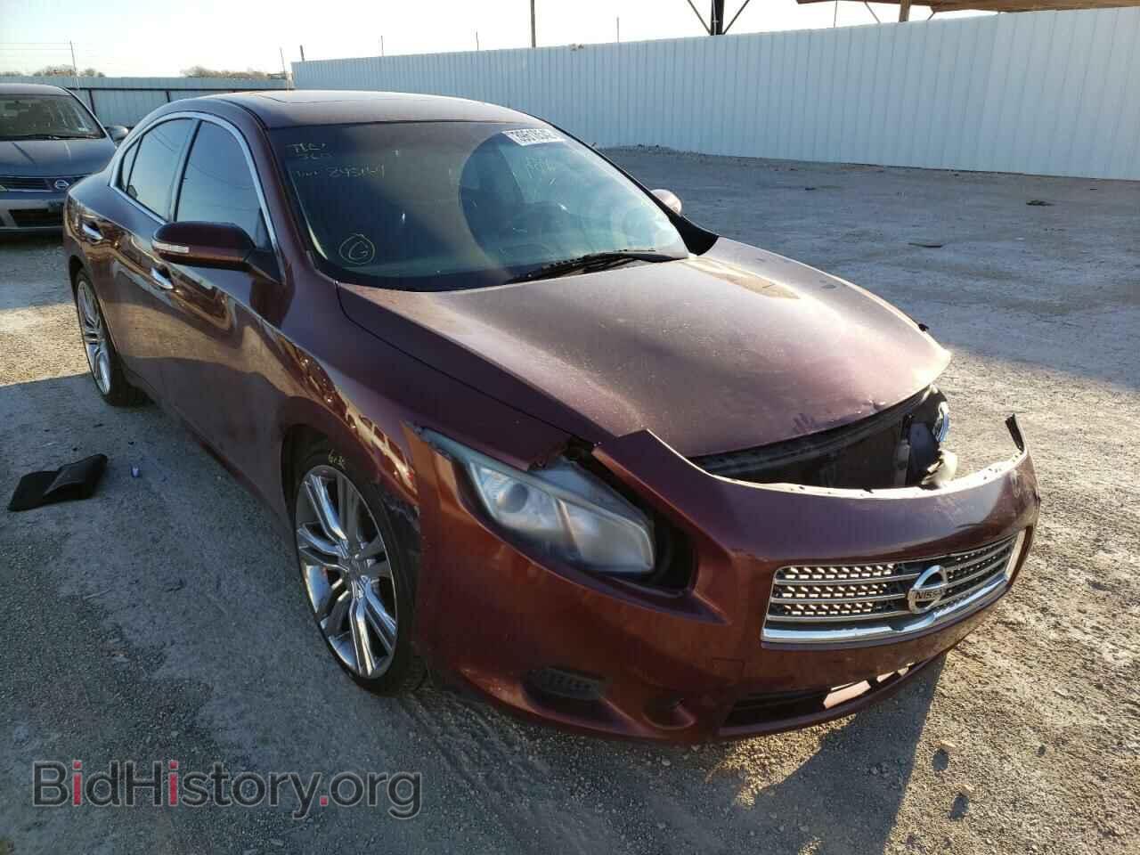 Photo 1N4AA5AP1AC845164 - NISSAN MAXIMA 2010