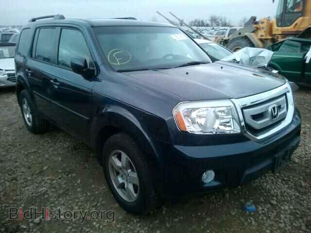 Фотография 5FNYF4H57BB020839 - HONDA PILOT 2011