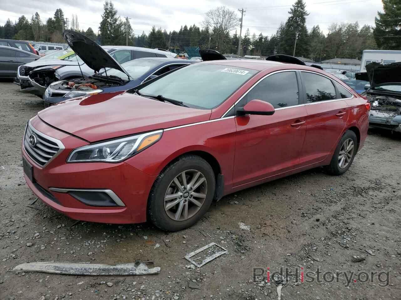 Фотография 5NPE24AF9GH416443 - HYUNDAI SONATA 2016