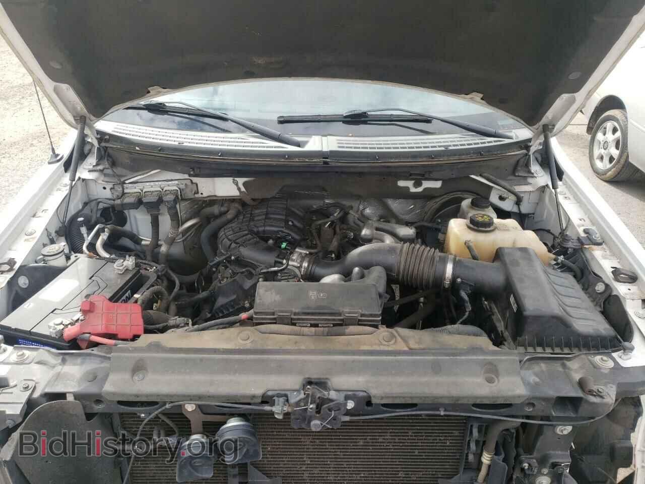 2012 FORD F150 - VIN: 1FTMF1CM2CFB83911 - Фото 7