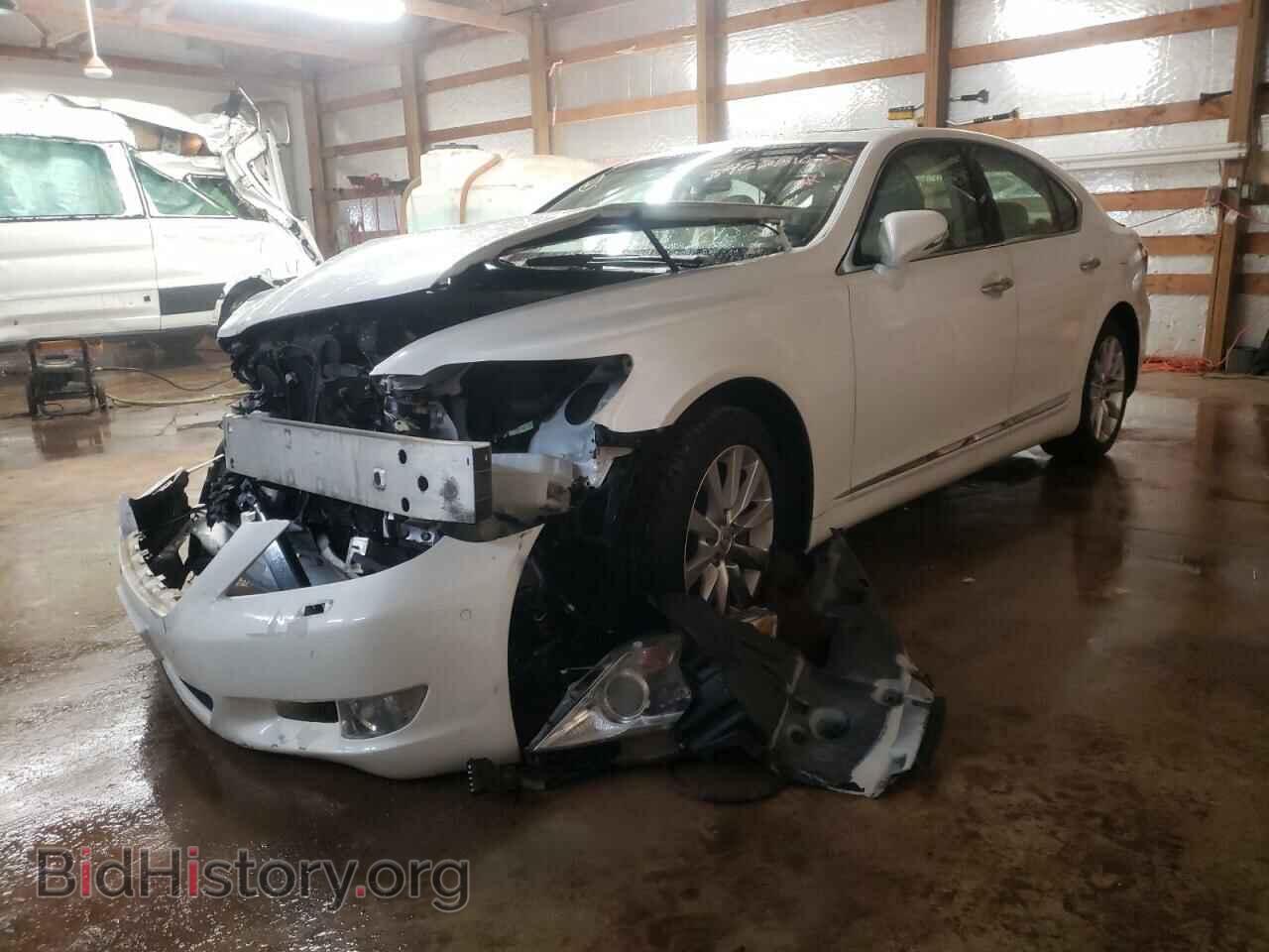 2011 LEXUS LS460 - VIN: JTHCL5EF6B5011734 - Фото 2