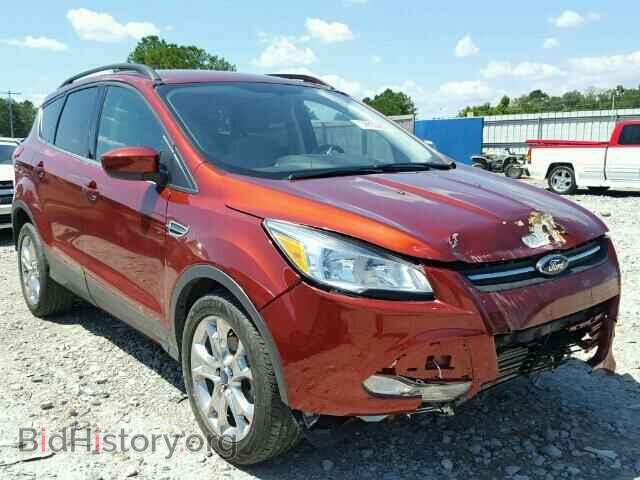 Фотография 1FMCU0GX9EUD29456 - FORD ESCAPE 2014