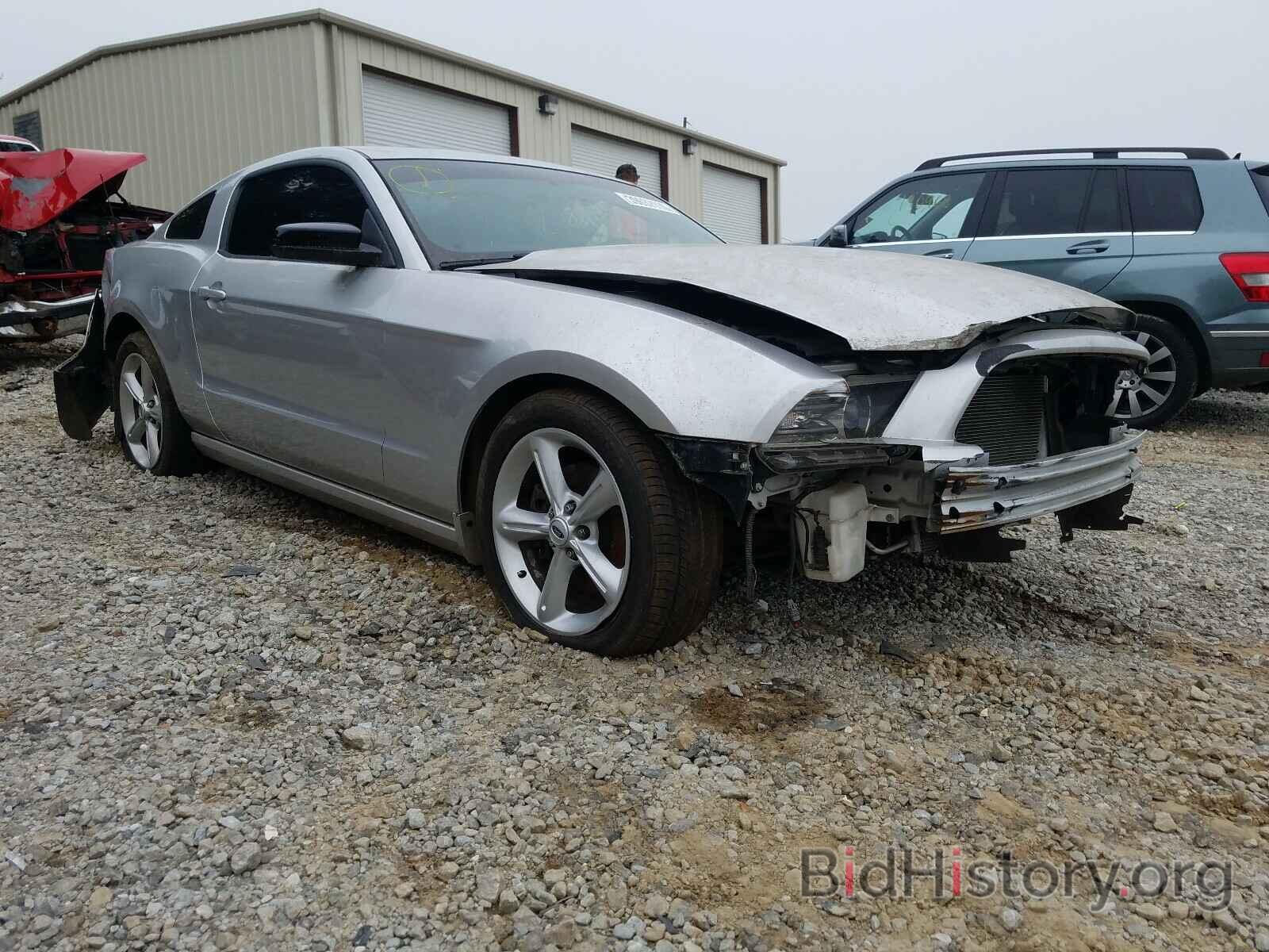 Photo 1ZVBP8AM1E5251153 - FORD MUSTANG 2014