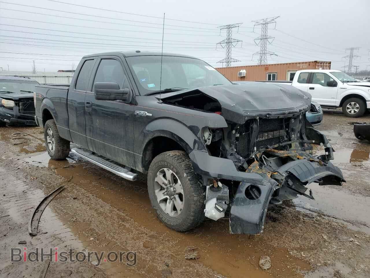 2013 FORD F-150 - VIN: 1FTFX1EF4DFD84229 - Фото 4