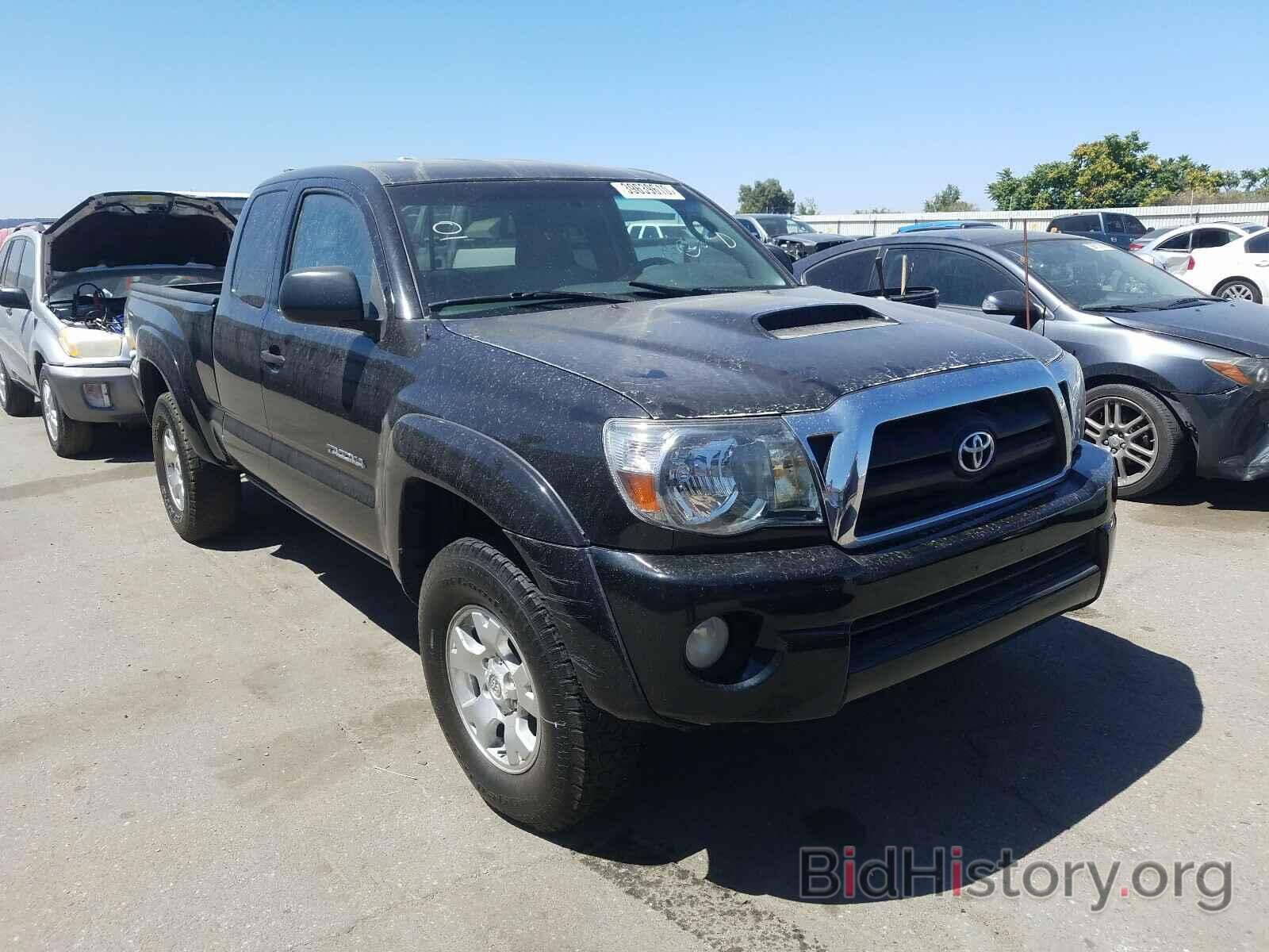 Photo 5TEUU42N36Z186034 - TOYOTA TACOMA 2006