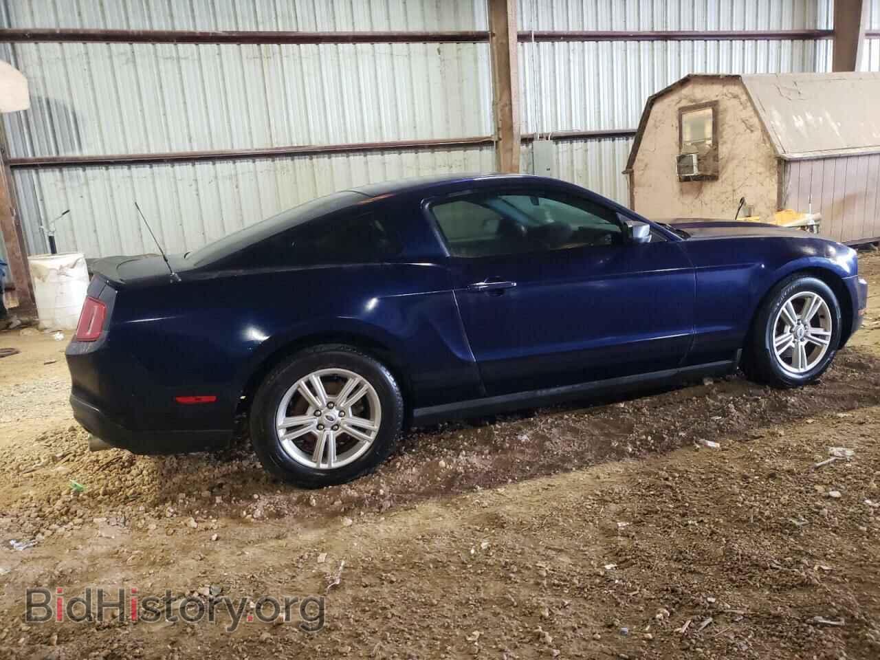 2012 FORD MUSTANG - VIN: 1ZVBP8AMXC5216530 - Фото 3