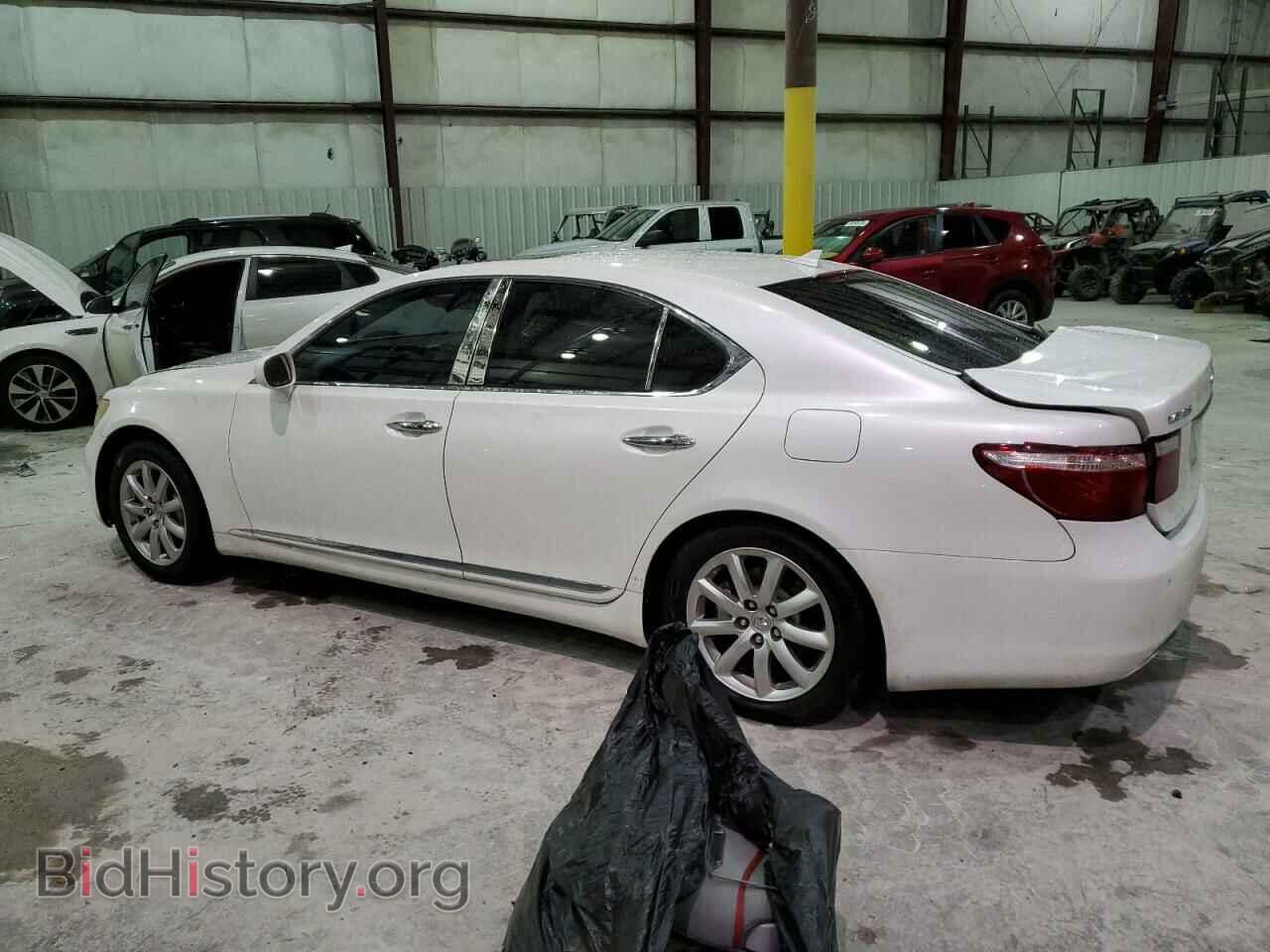 2008 LEXUS LS460 - VIN: JTHBL46F785064570 - Фото 2