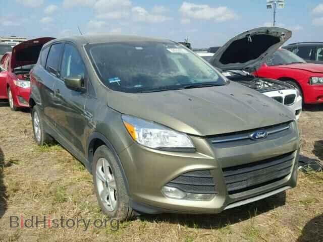 Фотография 1FMCU0G97DUD92006 - FORD ESCAPE 2013