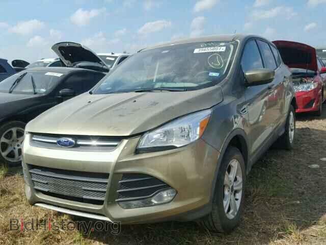 2013 FORD ESCAPE - VIN: 1FMCU0G97DUD92006 - Photo 2