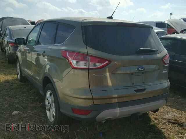 2013 FORD ESCAPE - VIN: 1FMCU0G97DUD92006 - Photo 3