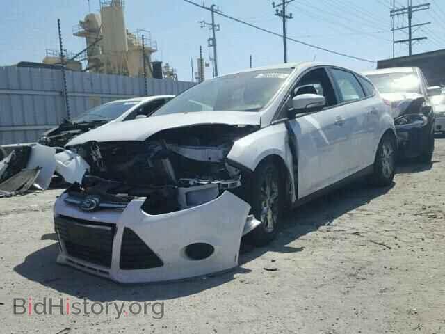 2014 FORD FOCUS - VIN: 1FADP3K25EL162165 - Фото 2