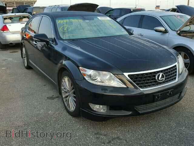 Фотография JTHBL5EFXC5111459 - LEXUS LS460 2012