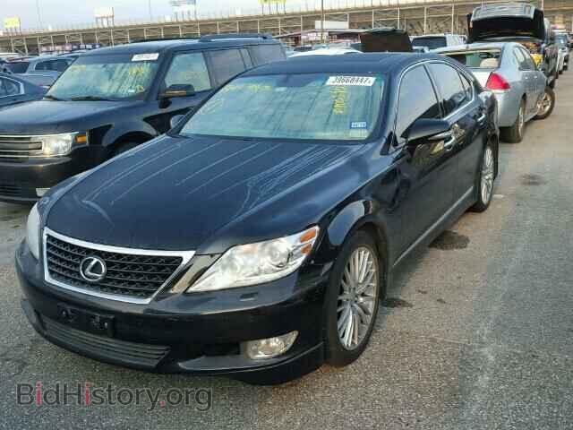 2012 LEXUS LS460 - VIN: JTHBL5EFXC5111459 - Фото 2