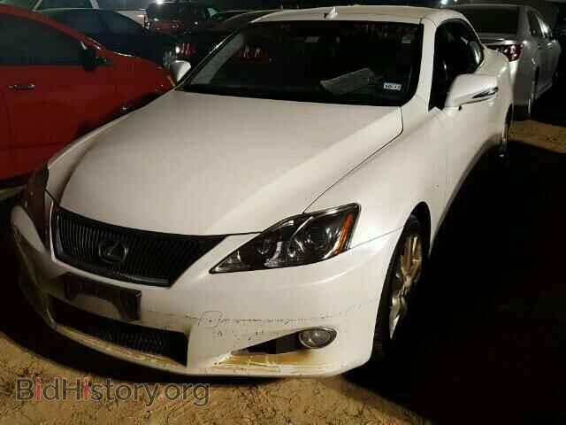 2010 LEXUS IS250 - VIN: JTHFF2C26A2509029 - Фото 2
