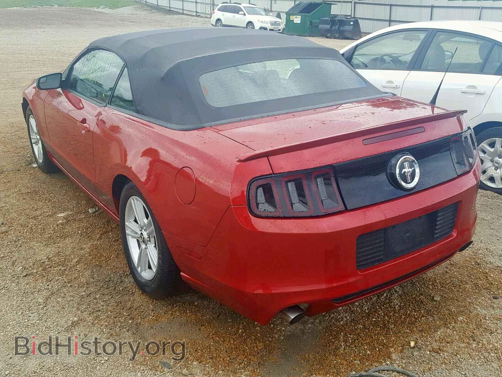 2013 FORD MUSTANG - VIN: 1ZVBP8EM0D5211400 - Фото 3