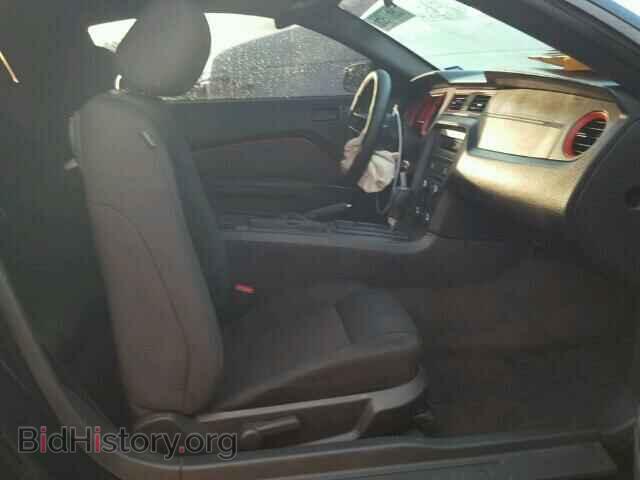 2013 FORD MUSTANG - VIN: 1ZVBP8AM0D5247786 - Фото 5