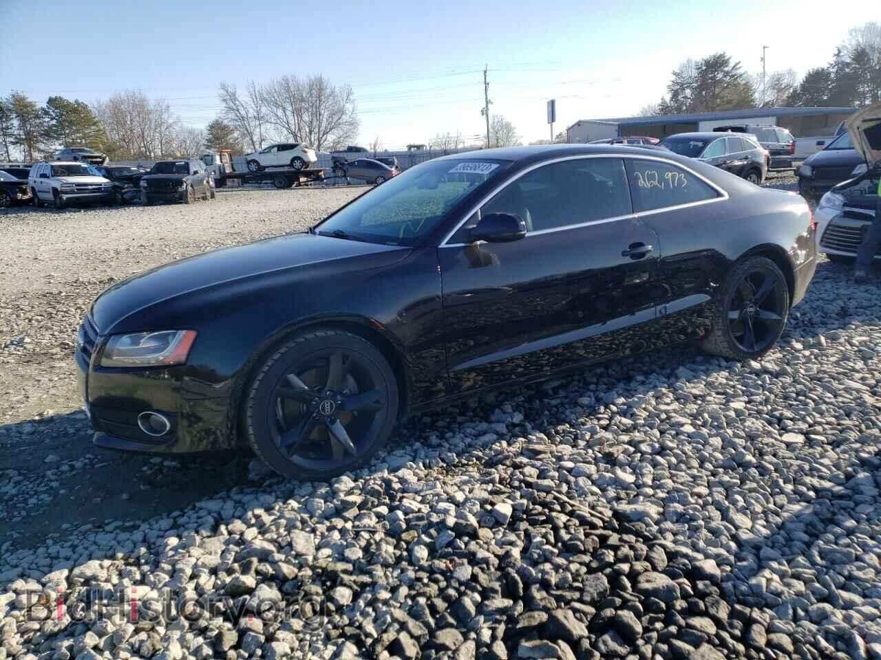 Фотография WAULFAFR6AA069422 - AUDI A5 2010