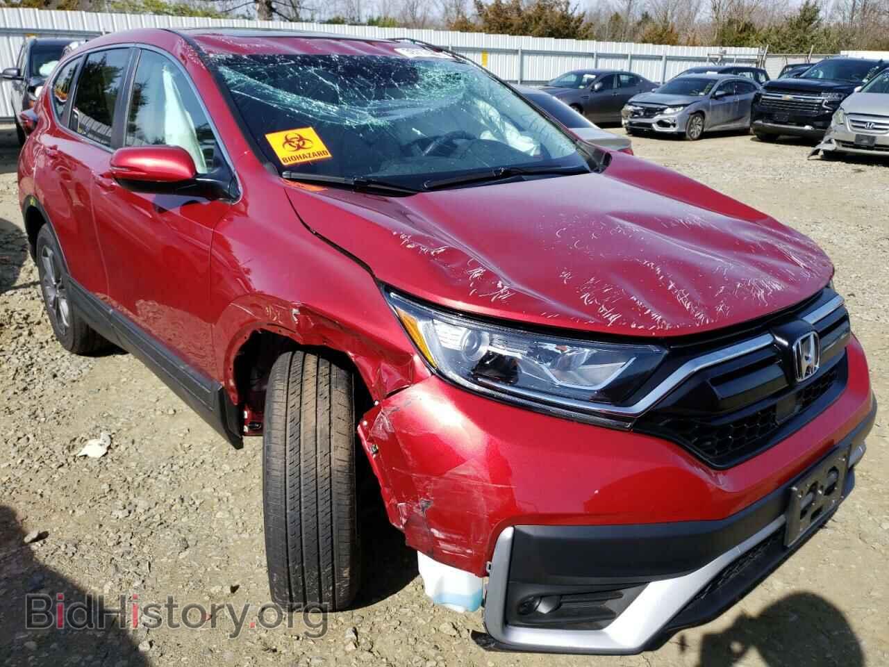 Photo 5J6RW2H85MA013364 - HONDA CRV 2021
