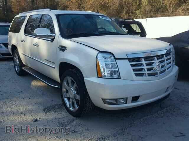 Фотография 1GYS4HEF9BR192004 - CADILLAC ESCALADE 2011